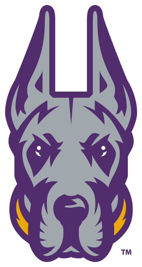 Albany Great Danes 2020-Pres Alternate Logo v7 DIY iron on transfer (heat transfer)